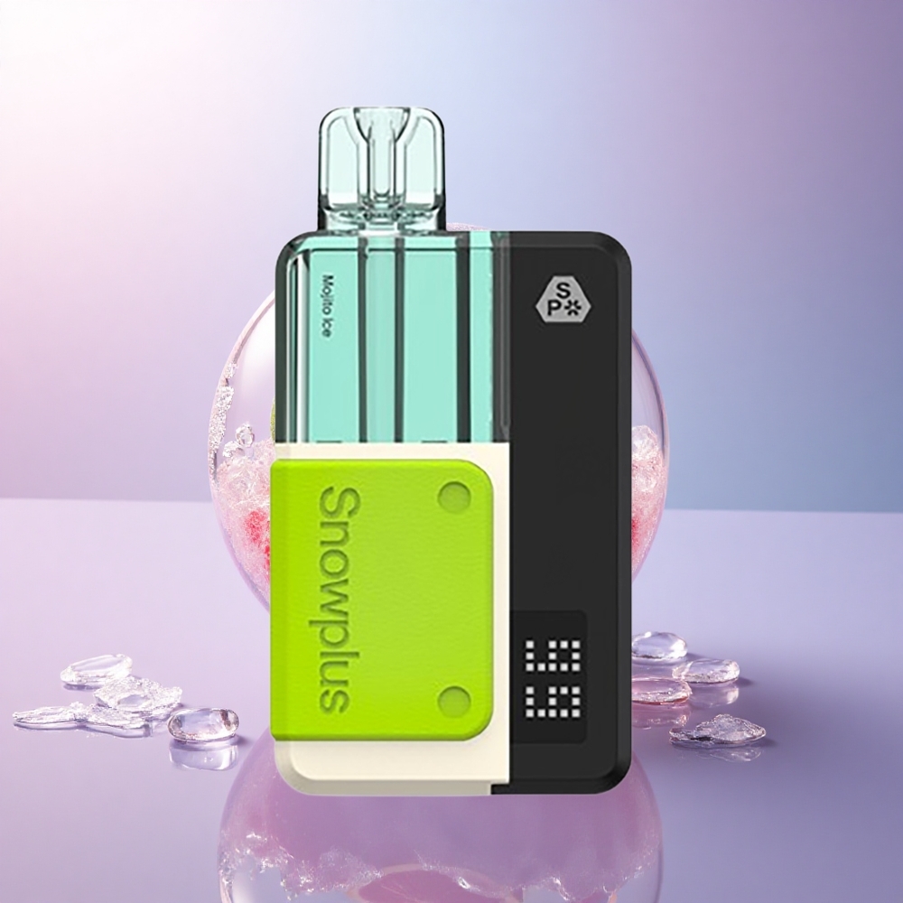 Snowplus Swift 5000 Puffs Mojito Eis Dual Mesh 1000 mAh